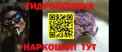 дурь Новодвинск